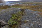 hkb_3-480_berlevaag_2023_073