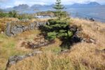 hkb_3-971_stamsund_2023_068