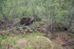 hkb_3-972_falvik_2025_061