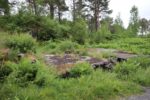 hkb_3-976_kvalvik_2023_006
