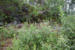 hkb_3-976_kvalvik_2023_019