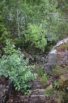hkb_3-976_kvalvik_2023_059