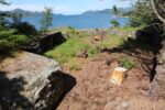hkb_3-981_vemmelsvik_2023_045