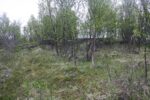 hkb_31-971_porsanger_2019_003