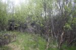 hkb_31-971_porsanger_2019_016