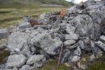 hkb_31-971_porsanger_2019_048