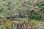 hkb_31-971_porsanger_2025_019