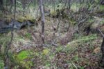 hkb_31-971_porsanger_2025_024
