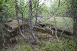 hkb_31-971_porsanger_2025_029