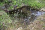 hkb_31-971_porsanger_2025_031