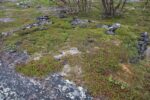 hkb_31-971_porsanger_2025_052