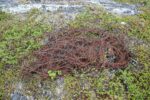 hkb_31-971_porsanger_2025_054