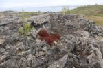 hkb_31-971_porsanger_2025_060