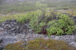 hkb_31-971_porsanger_2025_065