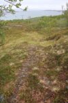 hkb_31-971_porsanger_2025_085