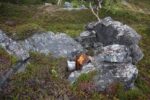 hkb_31-971_porsanger_2025_086