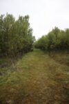 hkb_31-971_porsanger_2025_112