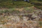 hkb_31-971_porsanger_2025_120