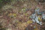 hkb_31-971_porsanger_2025_133