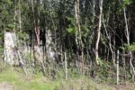 hkb_31-971_rottenvik_2023_001