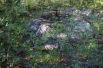 hkb_31-971_rottenvik_2023_004