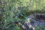 hkb_31-971_rottenvik_2023_006