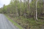 hkb_25-972_rottenvik_2025_005