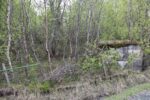 hkb_25-972_rottenvik_2025_008