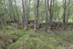 hkb_25-972_rottenvik_2025_009