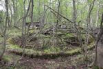 hkb_25-972_rottenvik_2025_012