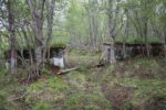 hkb_25-972_rottenvik_2025_026
