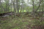 hkb_25-972_rottenvik_2025_029