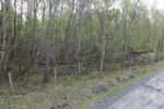 hkb_25-972_rottenvik_2025_031