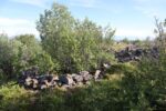 hkb_31-974_ulvingen_2023_004