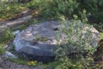 hkb_31-974_ulvingen_2023_012