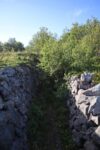 hkb_31-974_ulvingen_2023_013