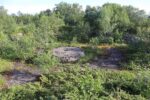hkb_31-974_ulvingen_2023_041