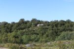 hkb_31-974_ulvingen_2023_058