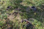 hkb_31-974_ulvingen_2023_060