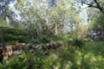 hkb_31-974_ulvingen_2023_063