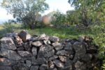 hkb_31-974_ulvingen_2023_100