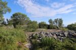 hkb_31-974_ulvingen_2023_109