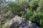hkb_31-974_ulvingen_2023_110
