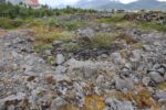 hkb_32-971_jusholmen_2023_009