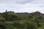 hkb_32-971_jusholmen_2023_017