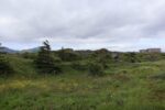 hkb_32-971_jusholmen_2023_018