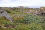 hkb_32-971_jusholmen_2023_023