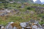 hkb_32-971_jusholmen_2023_028