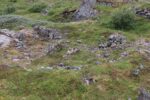 hkb_32-971_jusholmen_2023_029