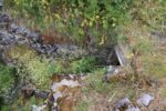 hkb_32-973_tjelneset_2023_045